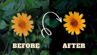 Photo editing in Lightroom | how to edit photo in Lightroom #photography #photoediting