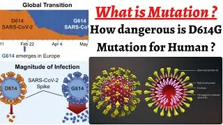 What is Mutation & how dangerous it is, D614G Mutation & its effects on vaccine research/human body
