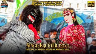 Aksi Dawangan Full Penonton Rame Singo Krido Budoyo Live Pucuksari Weleri 3/8/2024 Terbaru