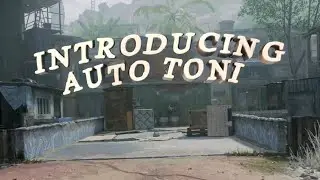 Introducing Auto Toni