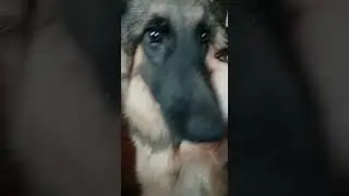 Мой меховичок