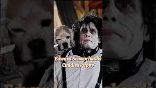 Edward Scissorhands snippimg a Puppy’s ears . #asmr #edwardscissorhands #edwardscissordance