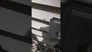 What Would You Do If You Found This?