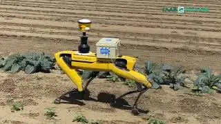 Новый робот Spot от Boston Dynamics и Corteva Agriscience