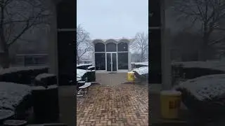 Chill Vibes in the Snow #shorts #vibes #chill #lofi #college #university #detroit #chillout