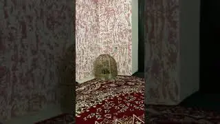 Чучаи фуруши срочно WhatsApp +79257787851
