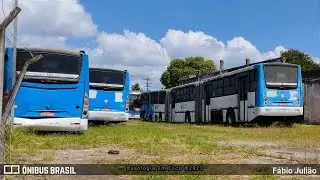 Ônibus Abandonados Jogados no Lixo