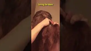 Tame the Mane