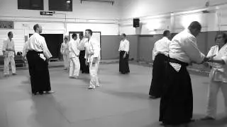 ZK TV project Ten Shin Dojo II
