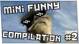 Mini Funny Compilation #2 - ANIMALS EDITION 69+