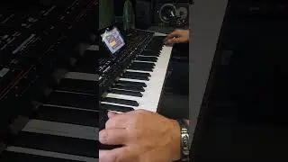 gazelle electro