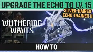 Wuthering Waves - Upgrade the Echo to Lv. 15 - Silver-haired Echo Trainer - II