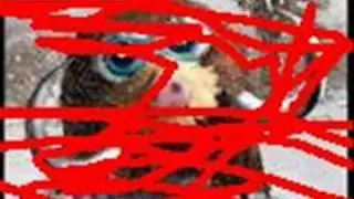 Ash Vs Paul Vs Dawn-Part 1