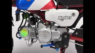 ​From Start to Finish, 1/12 Honda Monkey 125