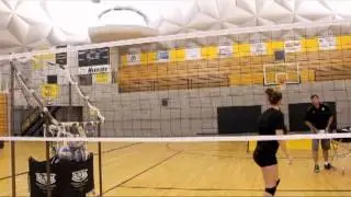 Allie Johnson - Setter