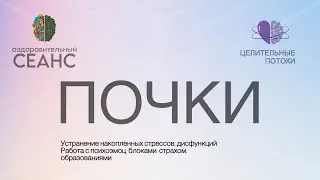 Оздоровительный СЕАНС - Почки