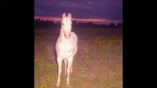 [free] yeat + lyfestyle + 2093 + a dangerous lyfe type beat "flashback"