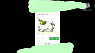 Бүгін 16 март информатика, математика  ТЖБ  жаратылыстану