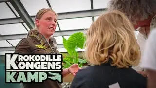 Krokodillekongens kamp (1:7) Højsæson