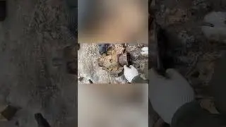 Выбивание гильзы из переднего моста мтз 
