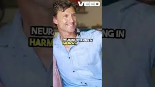 Brain vs  Supercomputers  Power Efficiency Revealed!