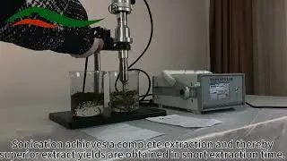 Dry Green Tea Ultrasonic Extraction By 20KHz Industry Ultrasonic Homogenizer