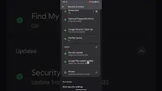 New Security & Privacy section on Google Pixel 7 Pro 🔐📱