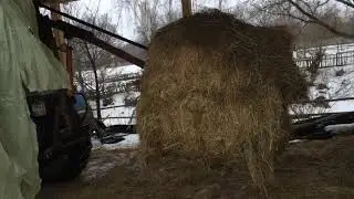Подвоз сена для КРС