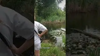 Прогулка