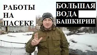 10.04.2021 ПРИШЛА БОЛЬШАЯ ВОДА. РАБОТЫ НА ПАСЕКЕ.