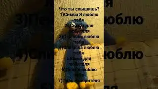 Что ты слышишь?