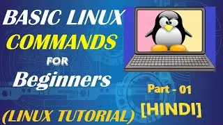 How to Use Linux | Basic Linux Commands | Top Important Commands (HINDI)