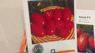 These early, productive tomatoes are a must have in your garden too.