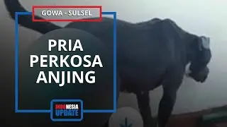 Kronologi Pria Ngaku Perkosa Anjing setelah Terpengaruh Video Porno, Foto-fotonya Turut Dibagikan