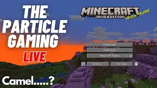 BGMI now | Minecraft 1.20.1 Live Hindi | ThePARTICLE Gaming @minecraft