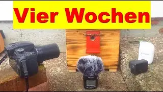 Hummelkisten Überwachen, was ist passiert nach 4 Wochen