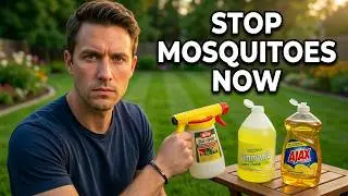 DIY Bug Tonic Kills Mosquitoes Better Than Store Bought Sprays
