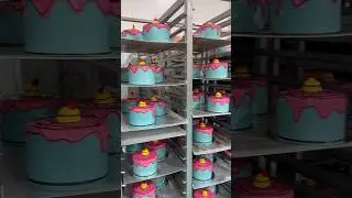 BEHIND THE SCENES! Let’s take a look at how our CARTOON CAKE is made! 