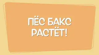 Грозный пёс Бакс! ЛЮДЯМ СО СЛАБЫМИ НЕРВАМИ НЕ СМОТРЕТЬ!