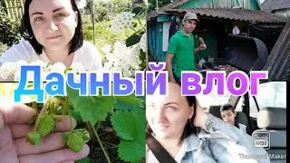 Теперь мы с водой / Посадили помидоры / Борьба с сорняками / Первый урожай / Скважина / Дачный влог