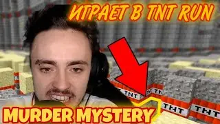 ЭДИСОН ИГРАЕТ В ТНТ РАН И МАРДЕР МИСТОРИ | НАРЕЗКА СО СТРИМА | МАЙНКРАФТ