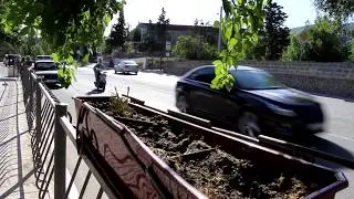 Вандалы уничтожают цветы у администрации г  Судак