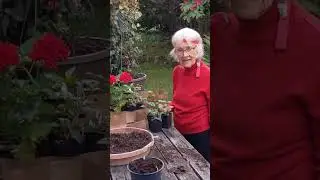 Planting Flowers Mom?