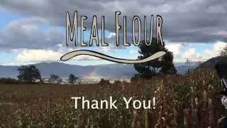 MealFlour Crowdfunding