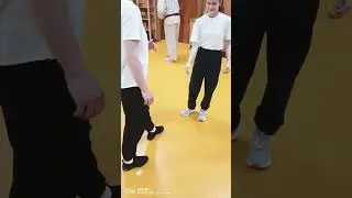Тренировка Вин Чун/Wing Chun Training #top #shorts #kung-fu #wushu #wingchun #Russia #martialarts