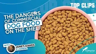The Dangers of Commercial Dog Food On The Shelf