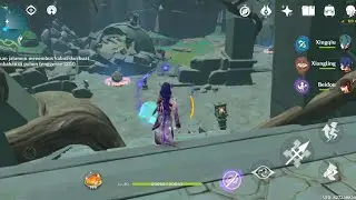 Shirikoro Peak Puzzle #2 Genshin Impact