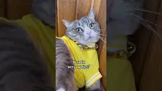 У тебя есть пепся #тикток приколы