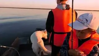 Окуни и не только...