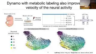 CCMB Seminar 11/29/2023 - Xiaojie Qiu, PhD